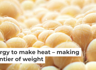 There is more to fat than meets the eye. Thom Leach/Science Photo Library via Getty Images